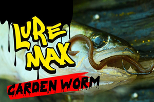 Garden Worm 100